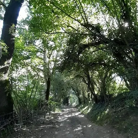 Feriehus Evasion Champetre Entre Ancenis Et Nantes - Maison Renovee Avec Jardin Clos, Peche Et Animaux - Fr-1-306-873